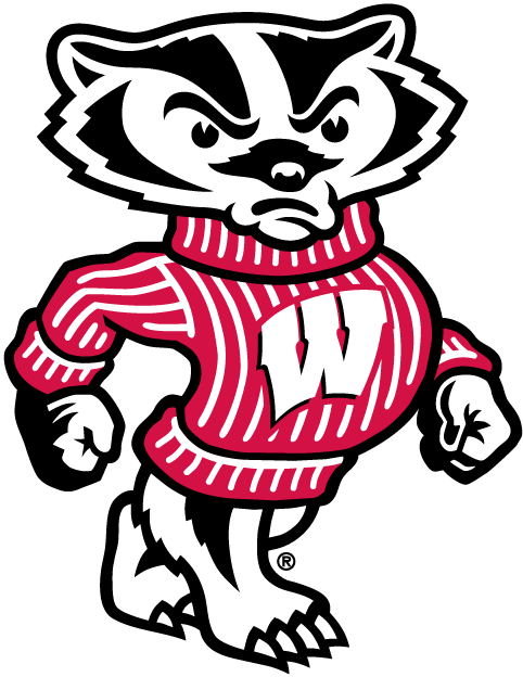 Wisconsin Badgers 2002-Pres Mascot Logo v2 iron on transfers for T-shirts...